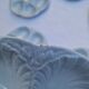 Set of 6 shell plates