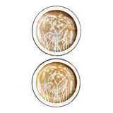 2 flat plates Midwinter in glazed stoneware, service "Shady lane"