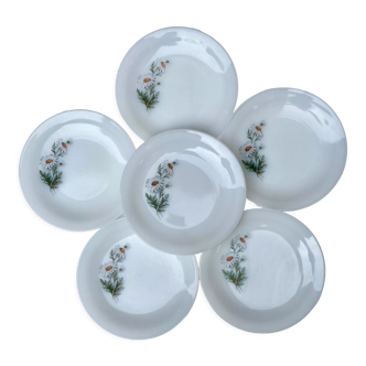 Arcopal Marguerites dessert plates