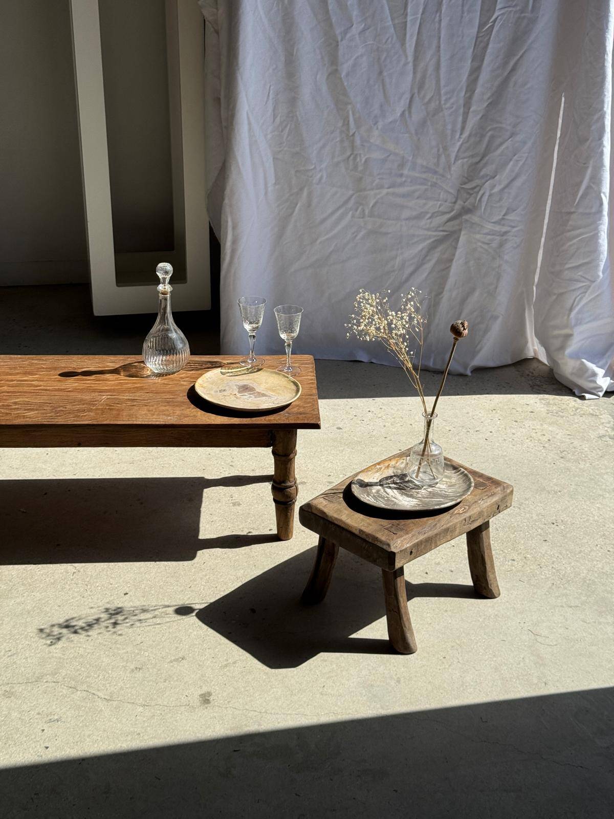 Petrified wood bowl or dish D27-23 -3322