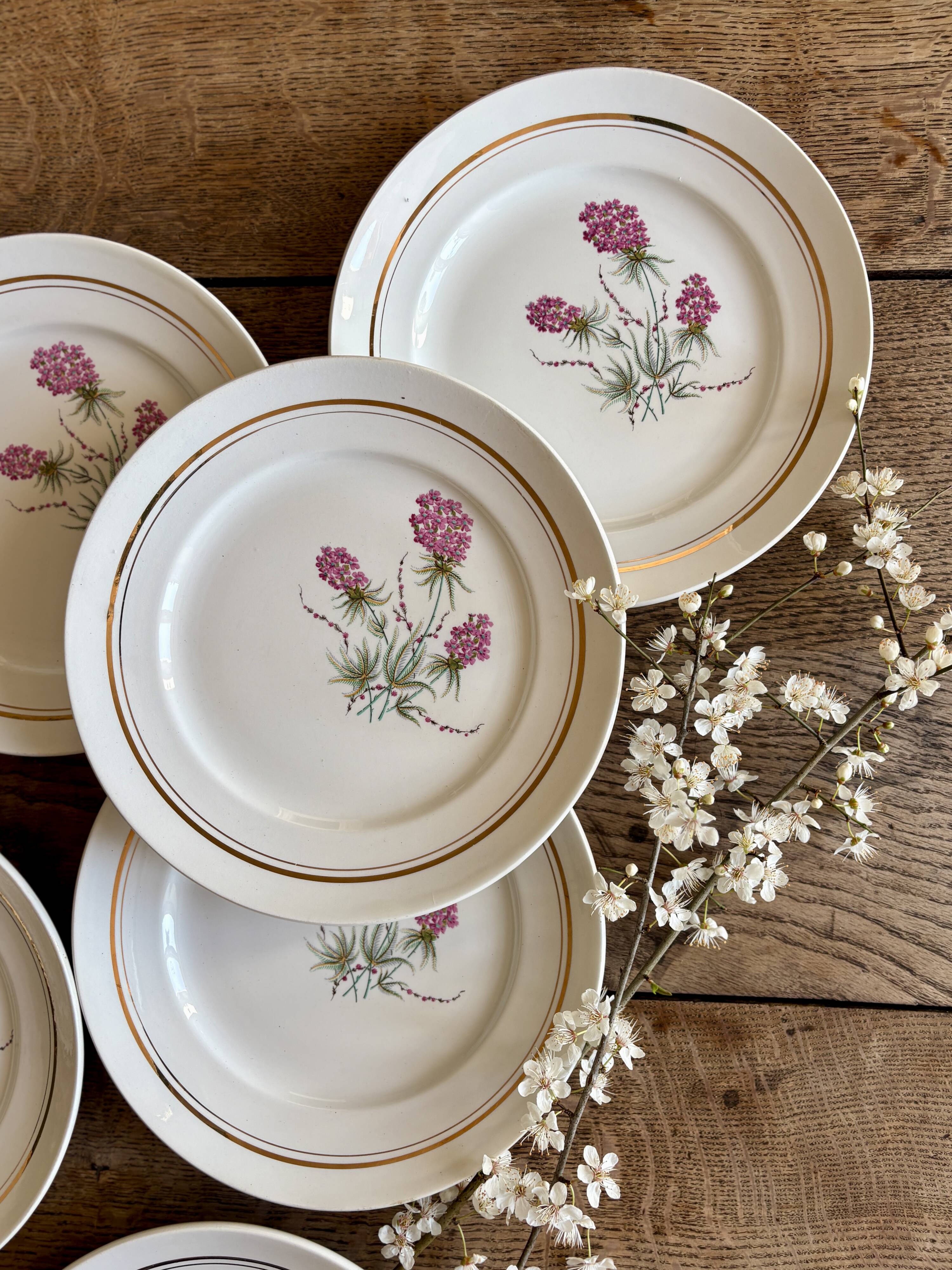 Set of 6 vintage dinner plates - Moulin des Loups