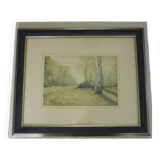 Watercolor Trees