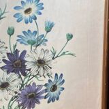 Poster, botanical plate Brachycome iberidifolia