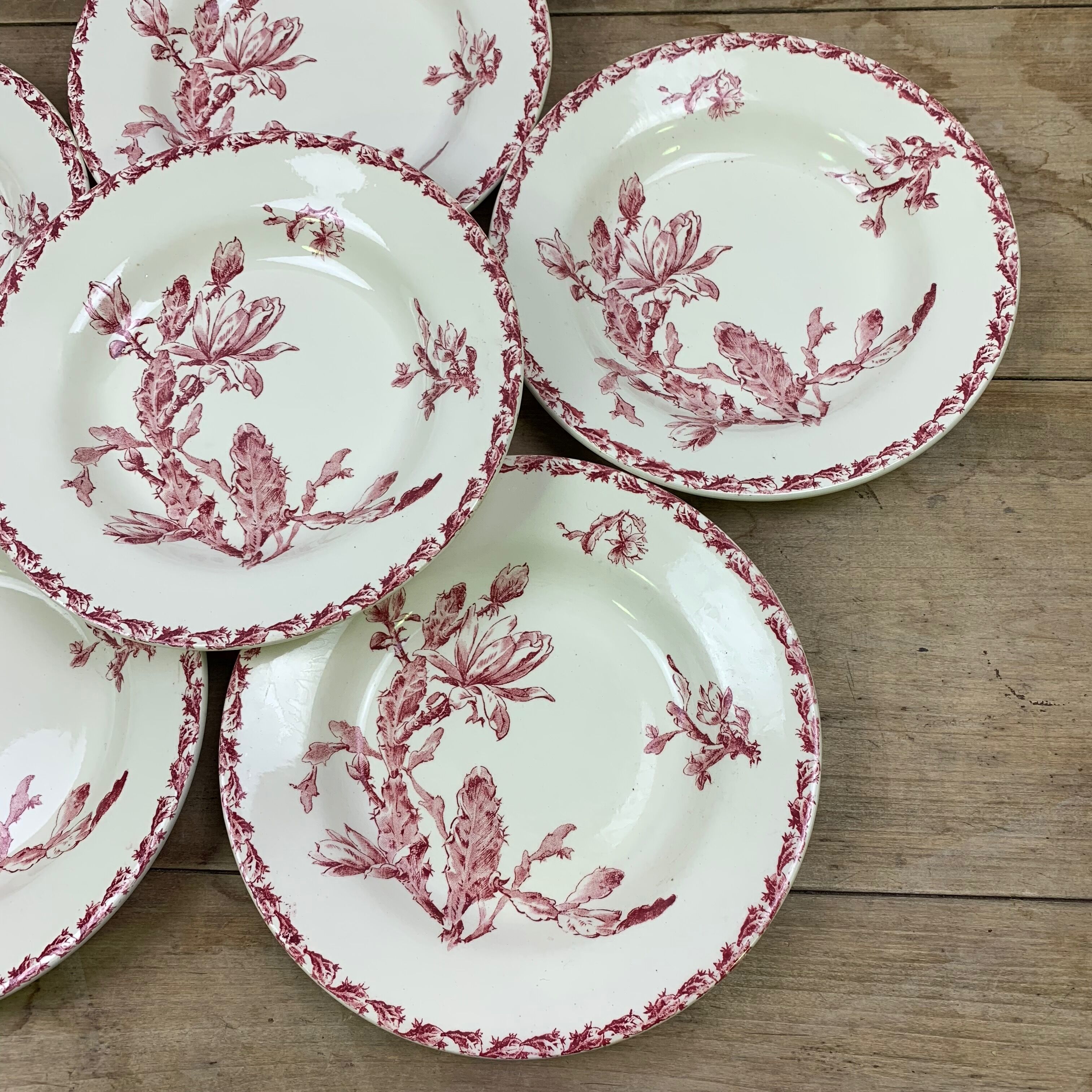 Lot de 6 assiettes creuses modèle Cactus de Gien