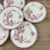 Lot of 6 soup plates model Cactus de Gien