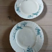 12 assiettes plates anciennes en Terre de fer 