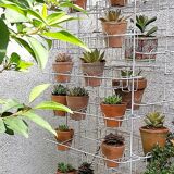 Terracotta seedlings