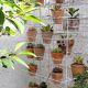 Terracotta seedlings