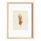 Painting on brown feather paper signed Eawy.