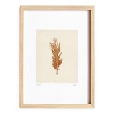 Painting on brown feather paper signed Eawy.