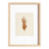 Painting on brown feather paper signed Eawy.
