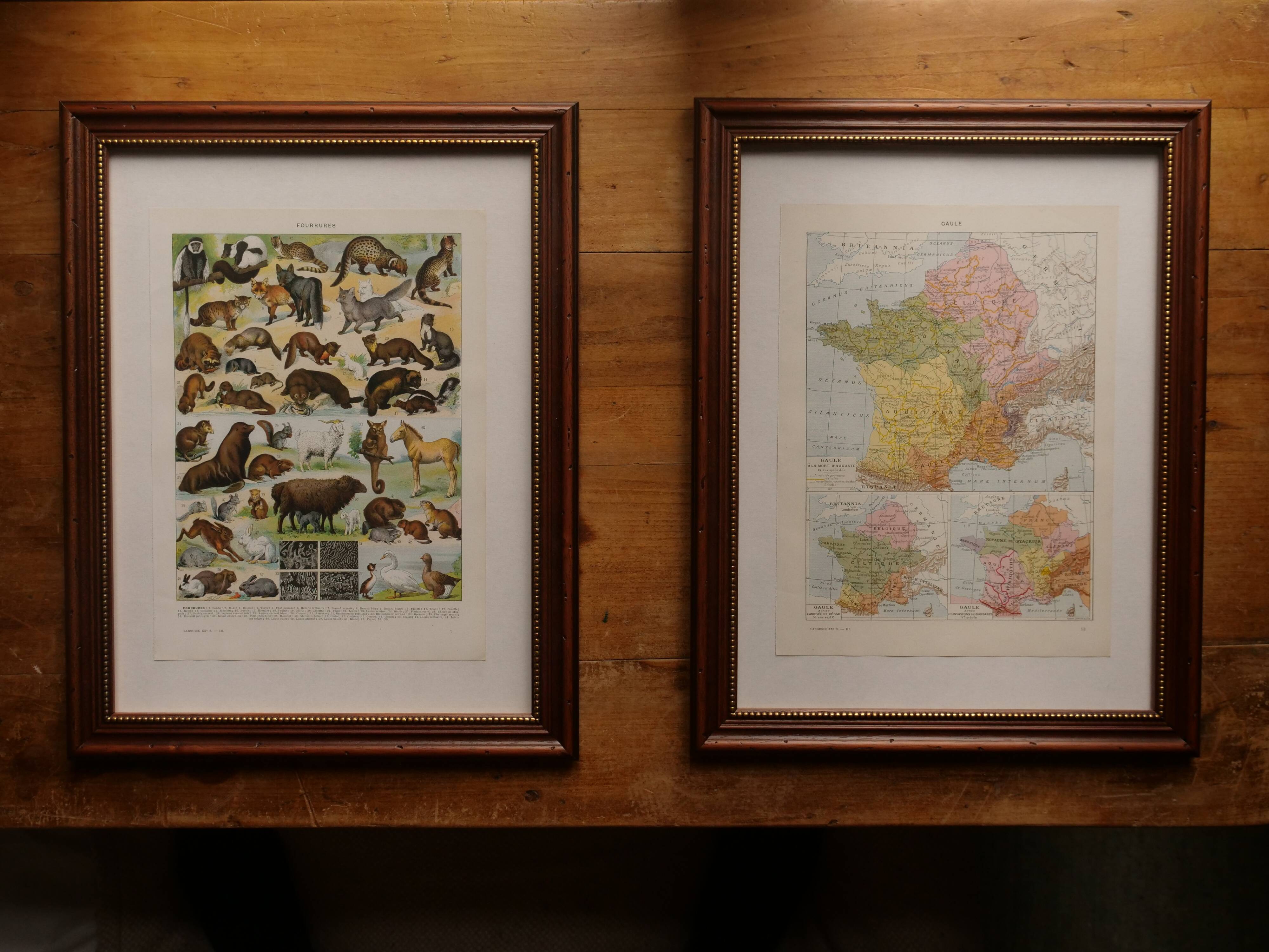 Original lithographs on birds