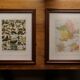 Original lithographs on birds
