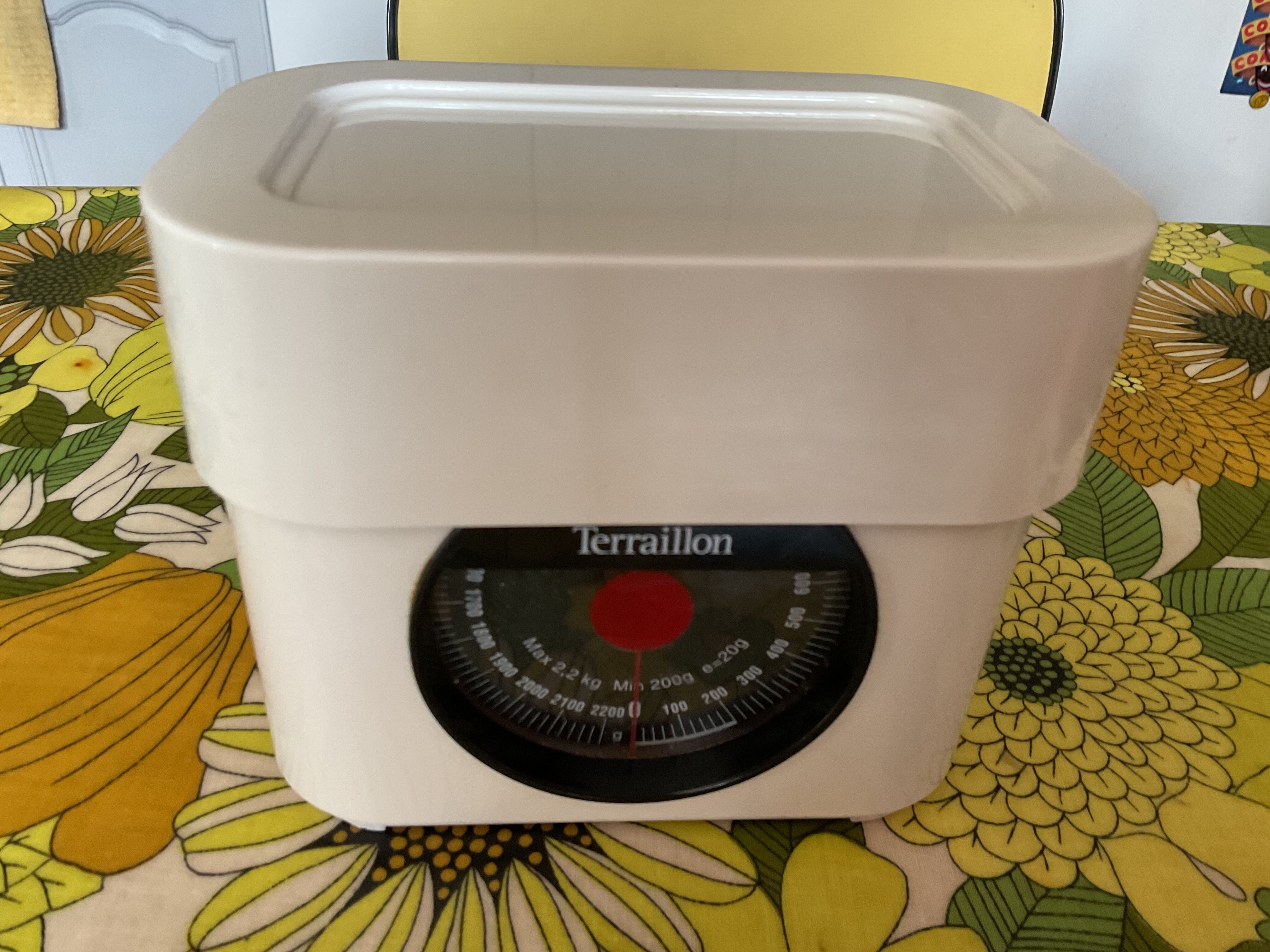 Terraillon vintage white and black scales