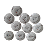 Lot plates St-Amand robin