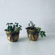 Pair of brass cord pot covers
