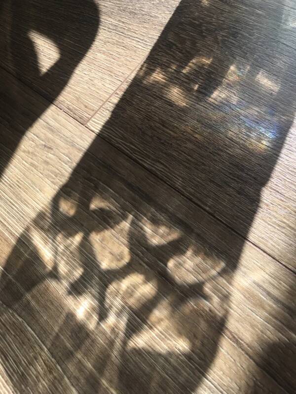 Vintage crystal vase