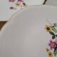 Set of 8 vintage Gien earthenware plates from the 70s with a floral pattern.