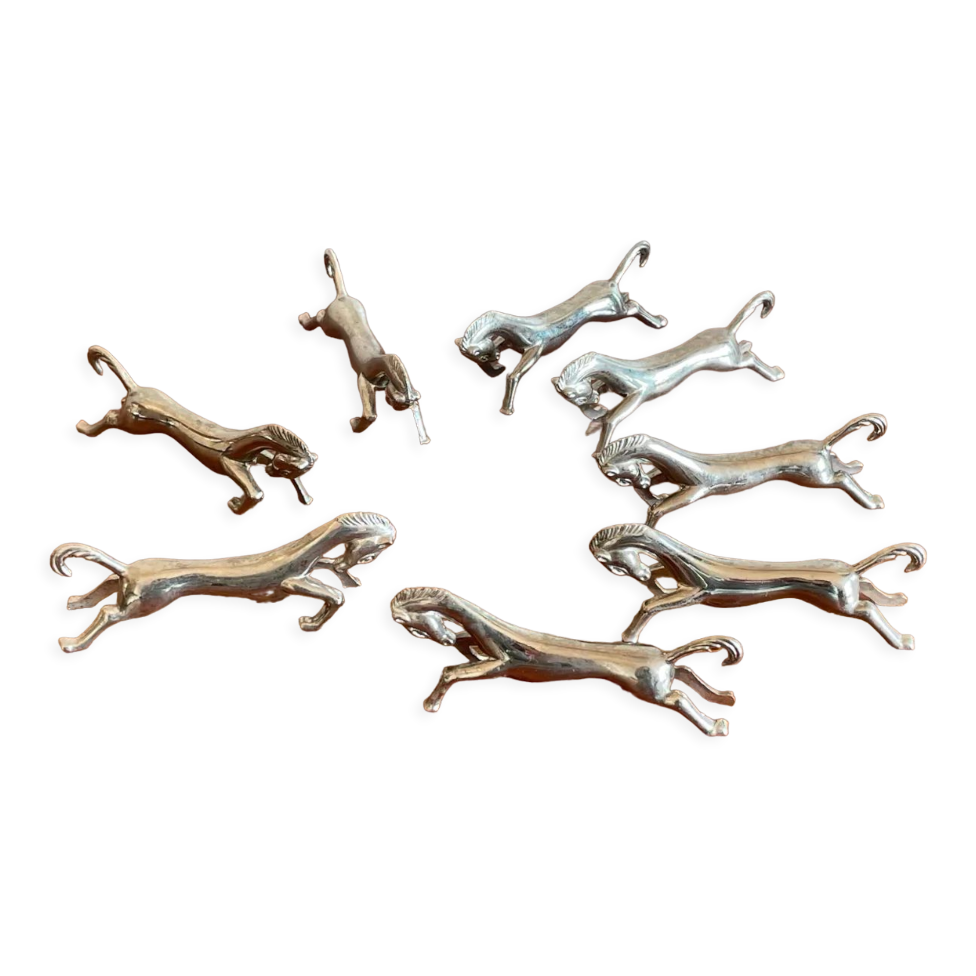 8 doors covered horses