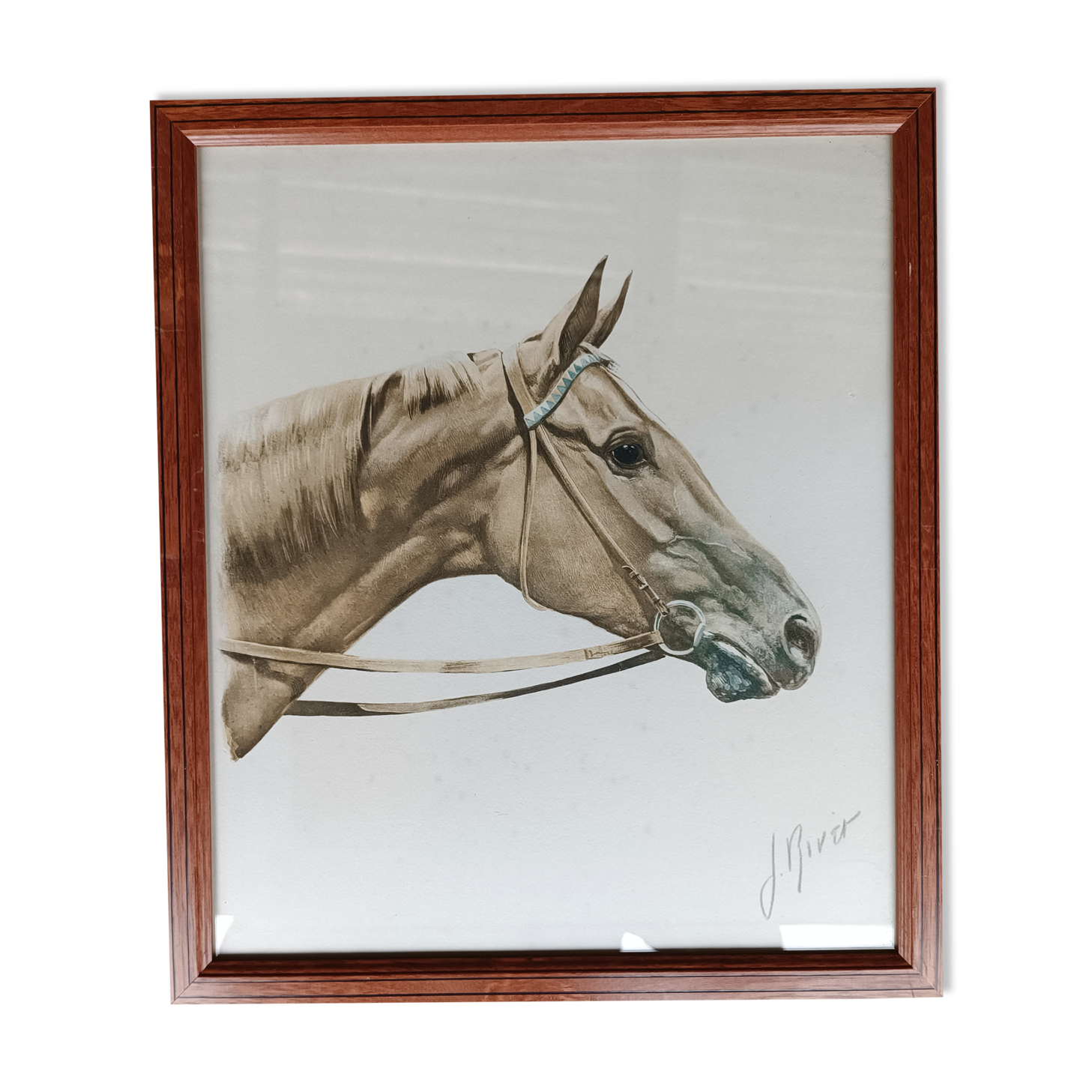 Lithographie cheval J.Rivet