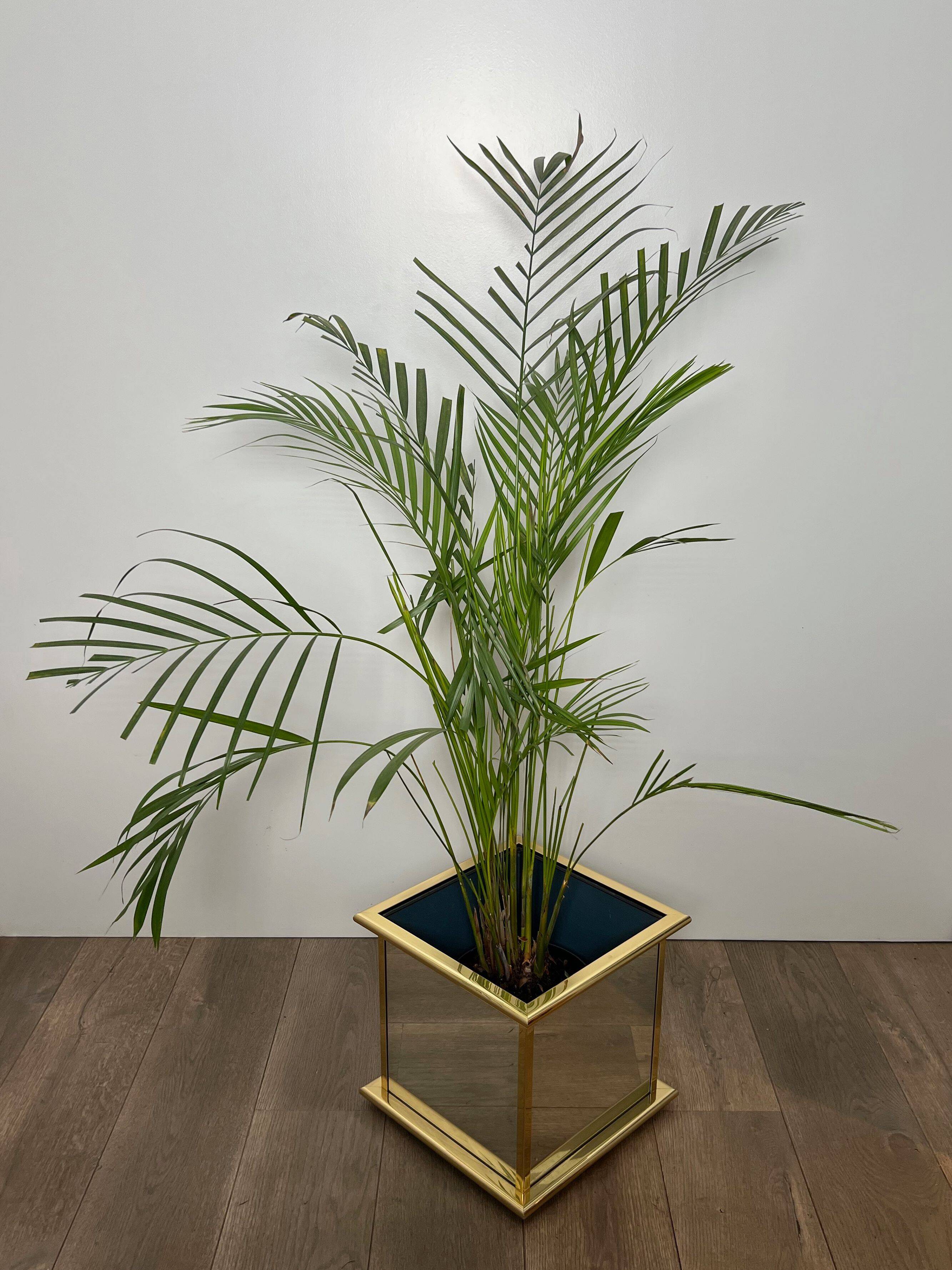 Jardinière en miroir et métal doré