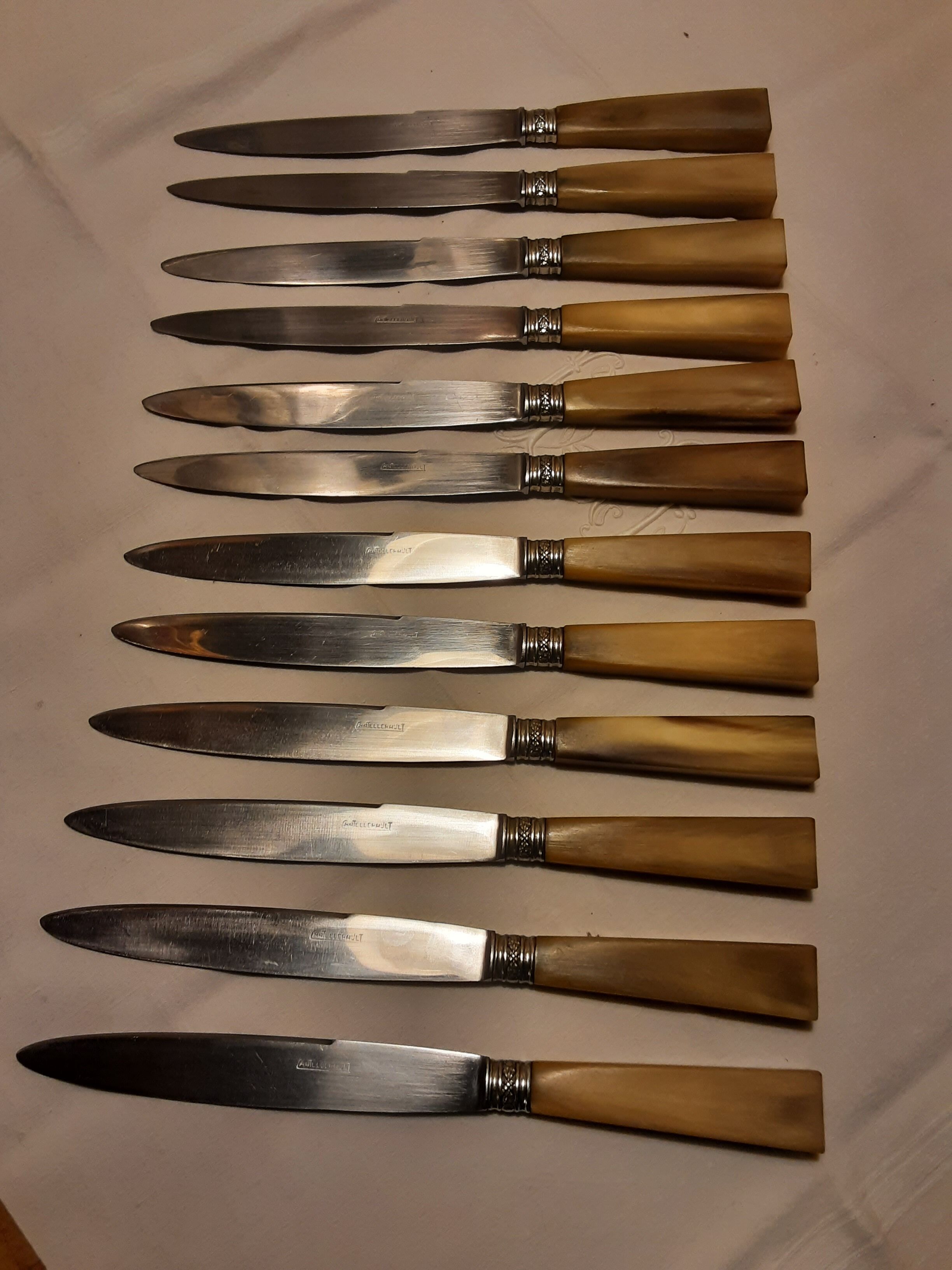 Hatch of 12 knives handle in horn and stainless steel blade
