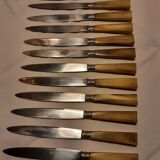 Hatch of 12 knives handle in horn and stainless steel blade