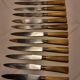 Ecrin de 12 couteaux manche en corne et lame inox