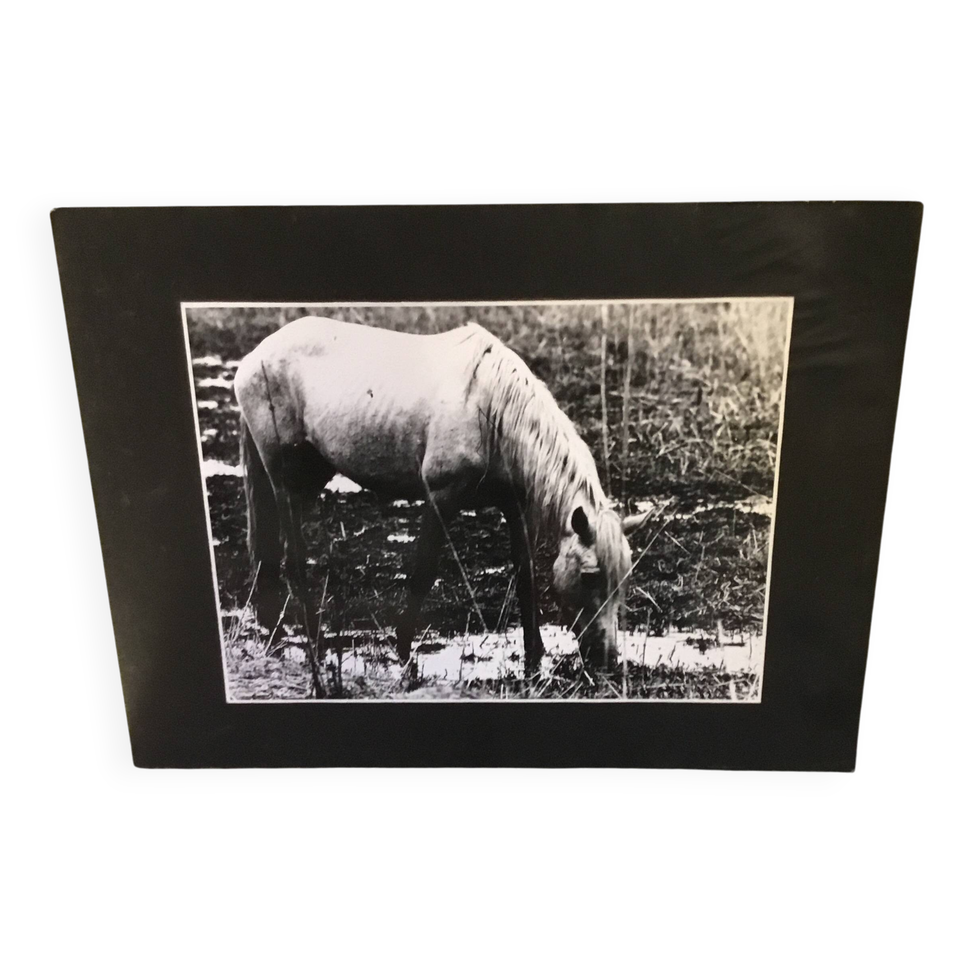 Black and white silver print