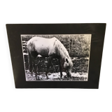 Black and white silver print