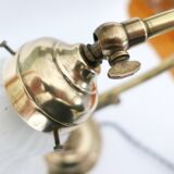 "swan neck" lamp in bronze and brass from 1900