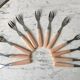 Set of 12 dessert forks in Bakelite 60s-70s