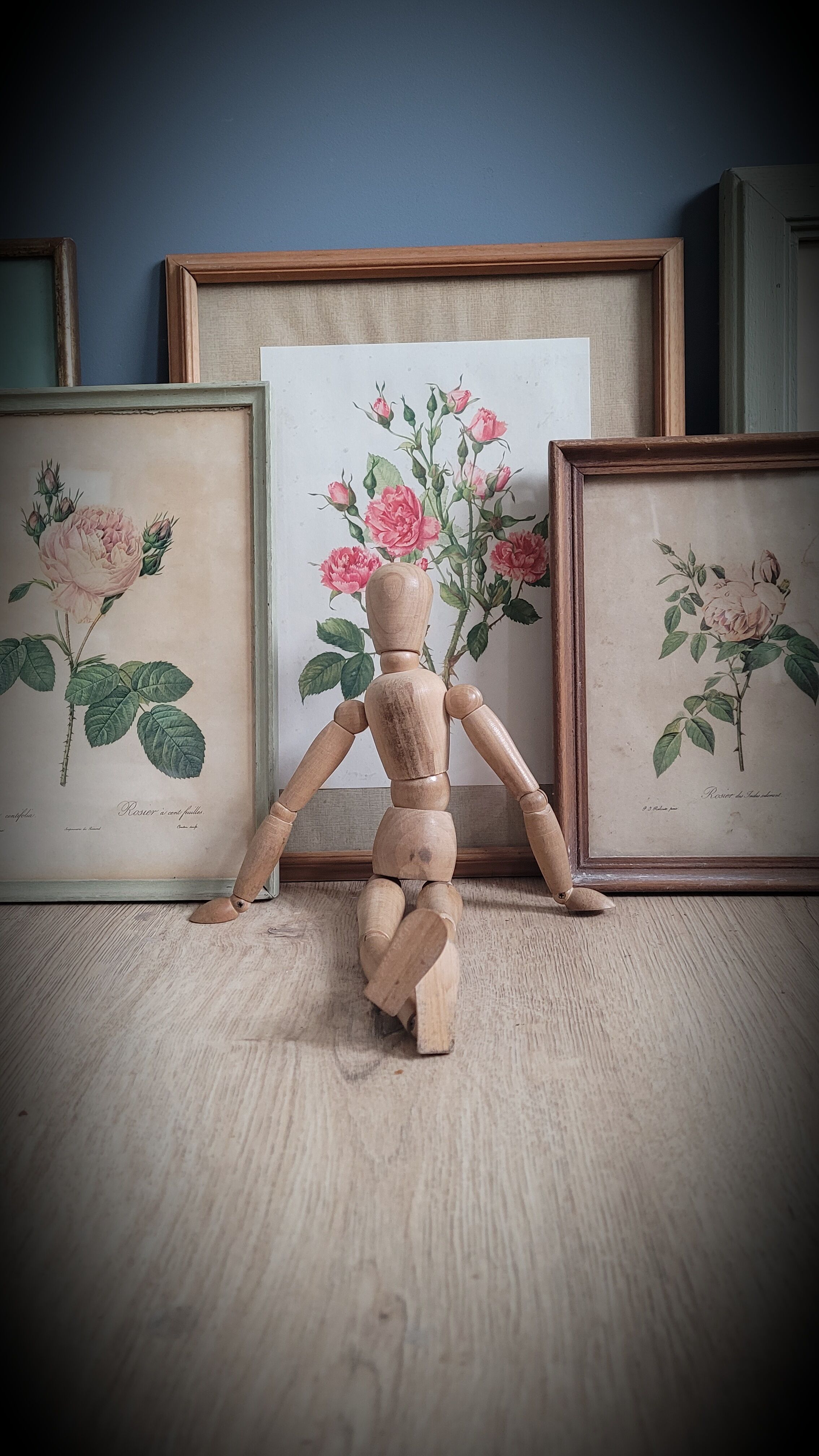 Litho Rose Eglantier