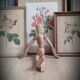 Litho Rose Eglantier