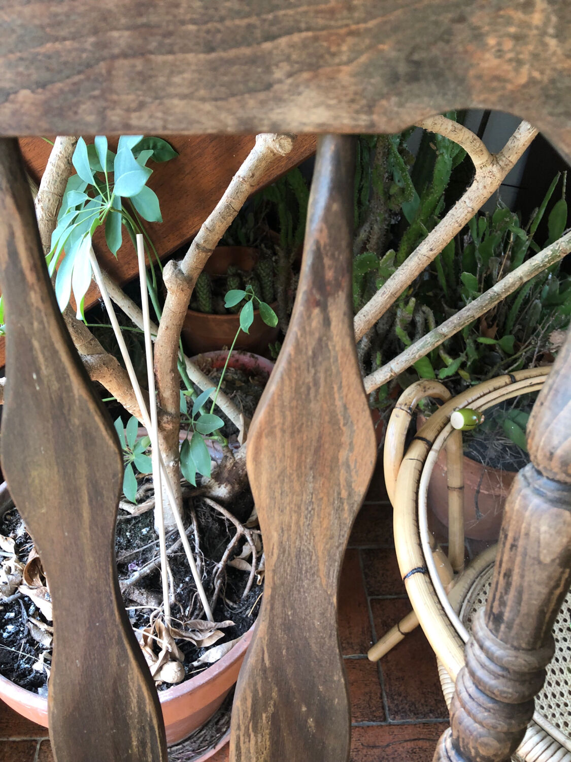 Windsor rocking chair