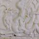 Cast iron planter Napoleon III lion's feet