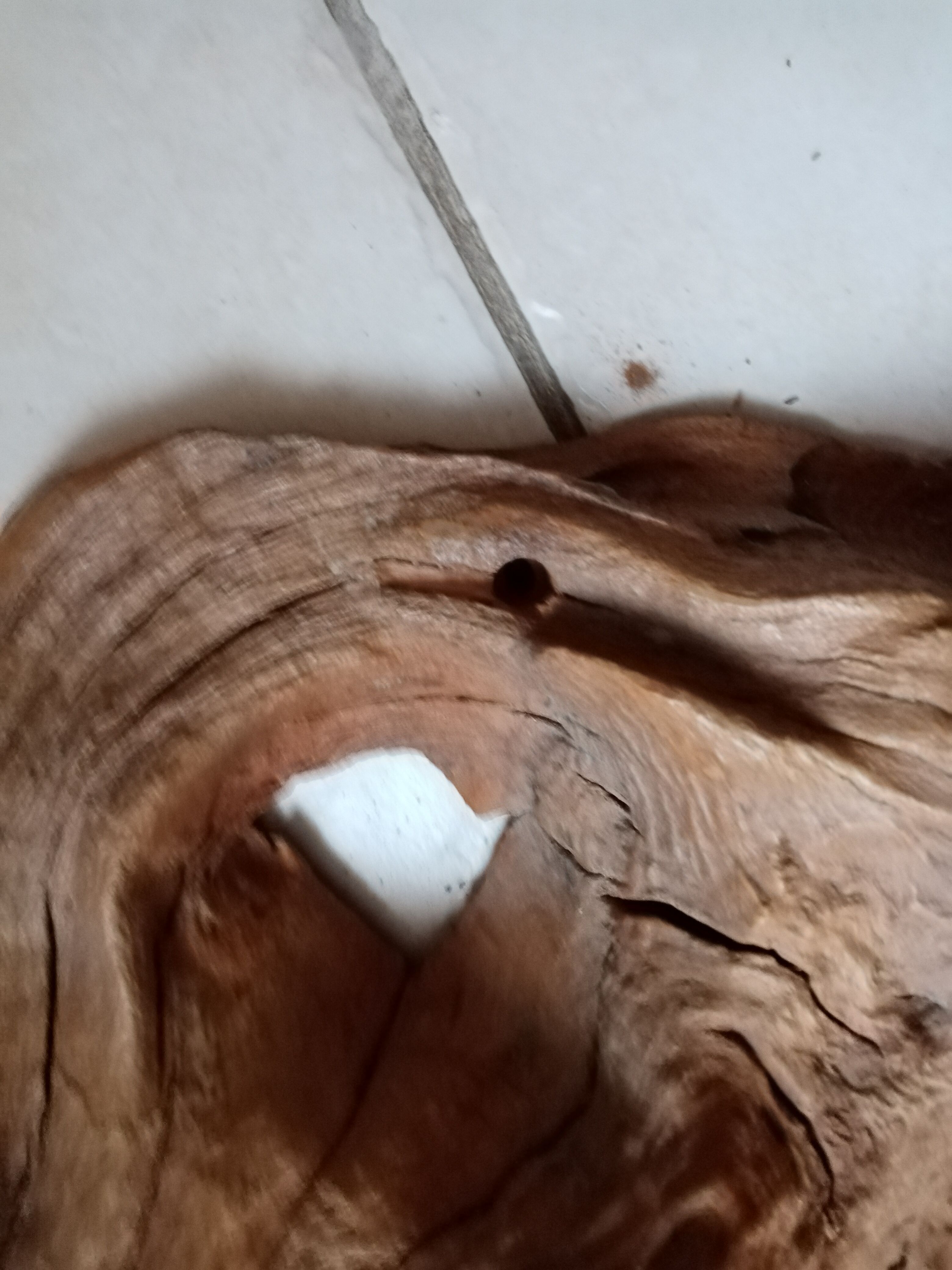 Pair of vintage brutalist wood wall lamp