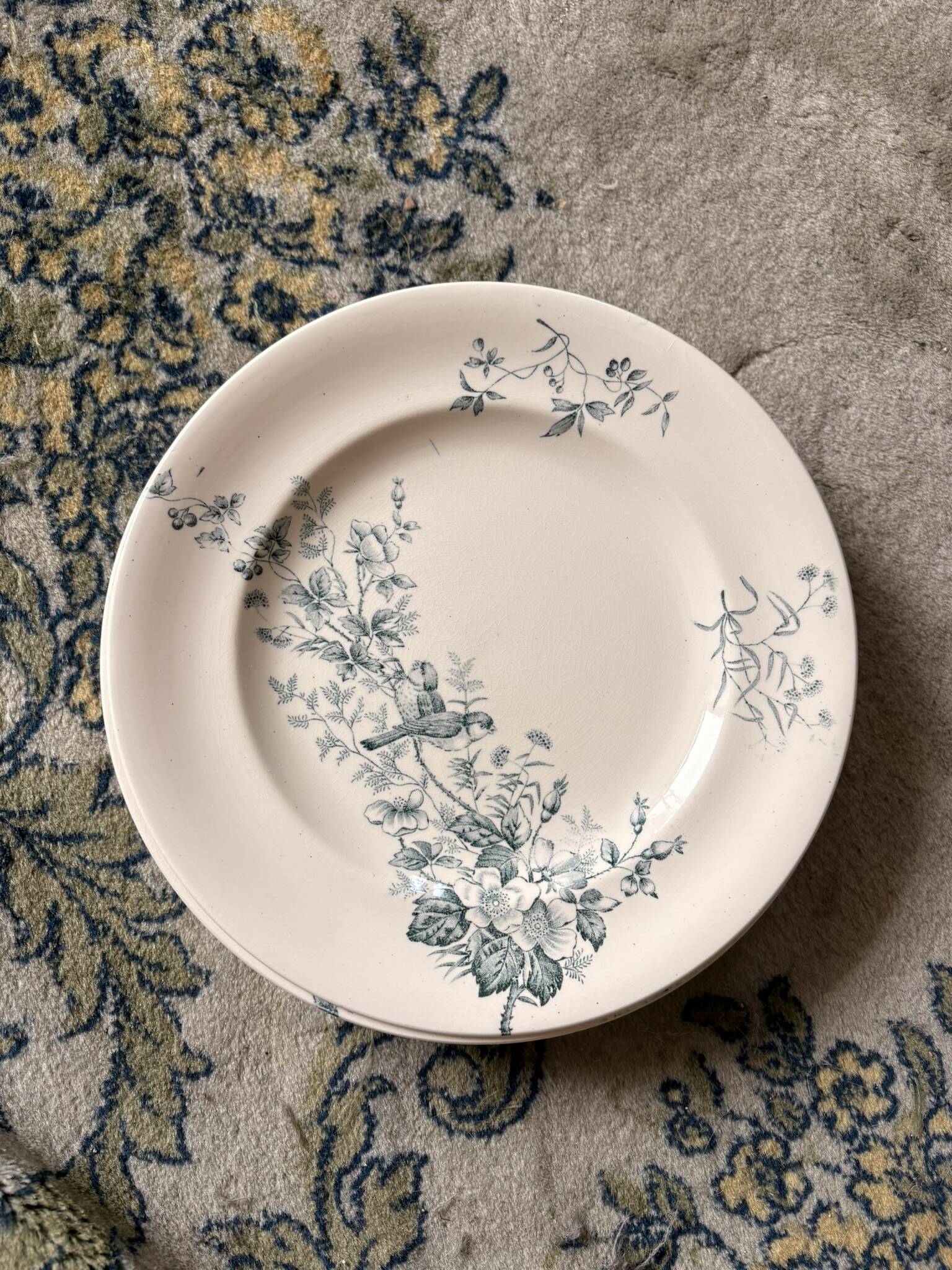 Lot 5 Plate Plates Faience Longwy Model Mignon