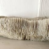 Large "shark cushion" coral 39cm