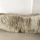 Grand corail "coussin de requin" 39cm