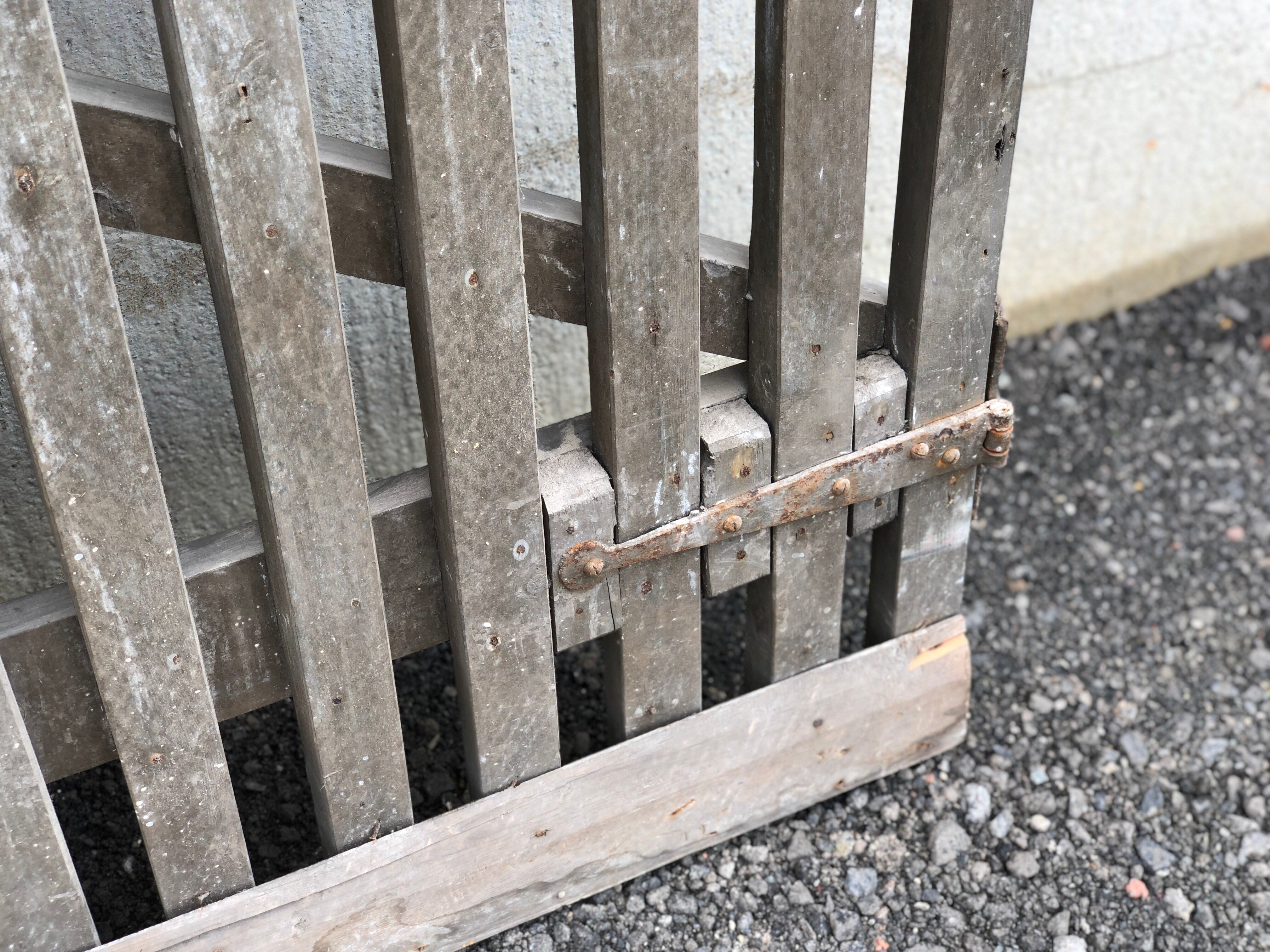 Pair of wooden doors