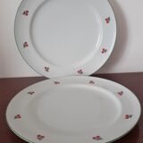 2 assiettes aux motifs de cerises