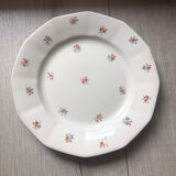 Digoin Sarreguemines plate
