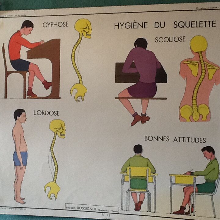 Poster teaching years 60 - muscle / skeletal health