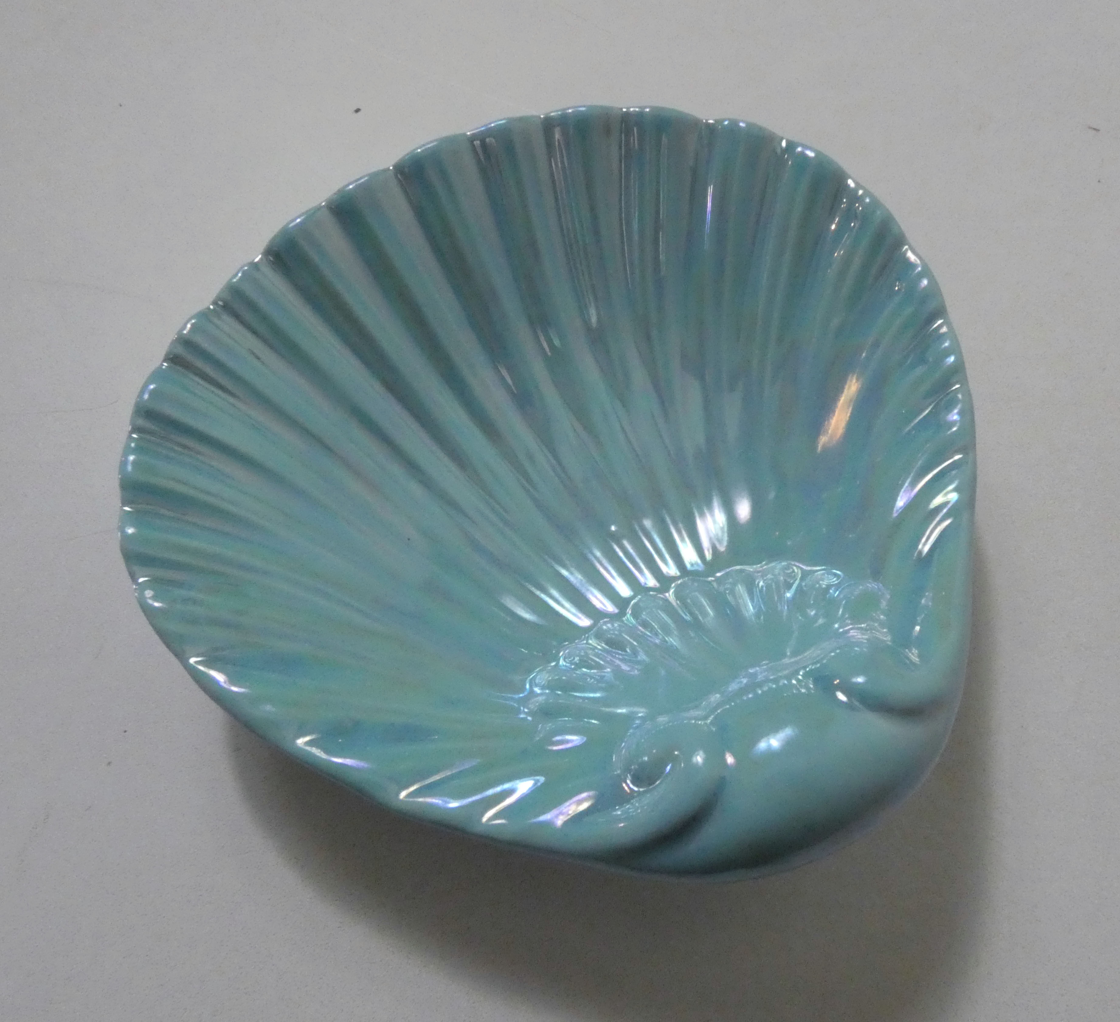 Empty pocket vintage iridescent shell