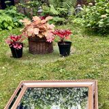 Miroir à parecloses - Bois doré - Style Louis XVI- Très bon état