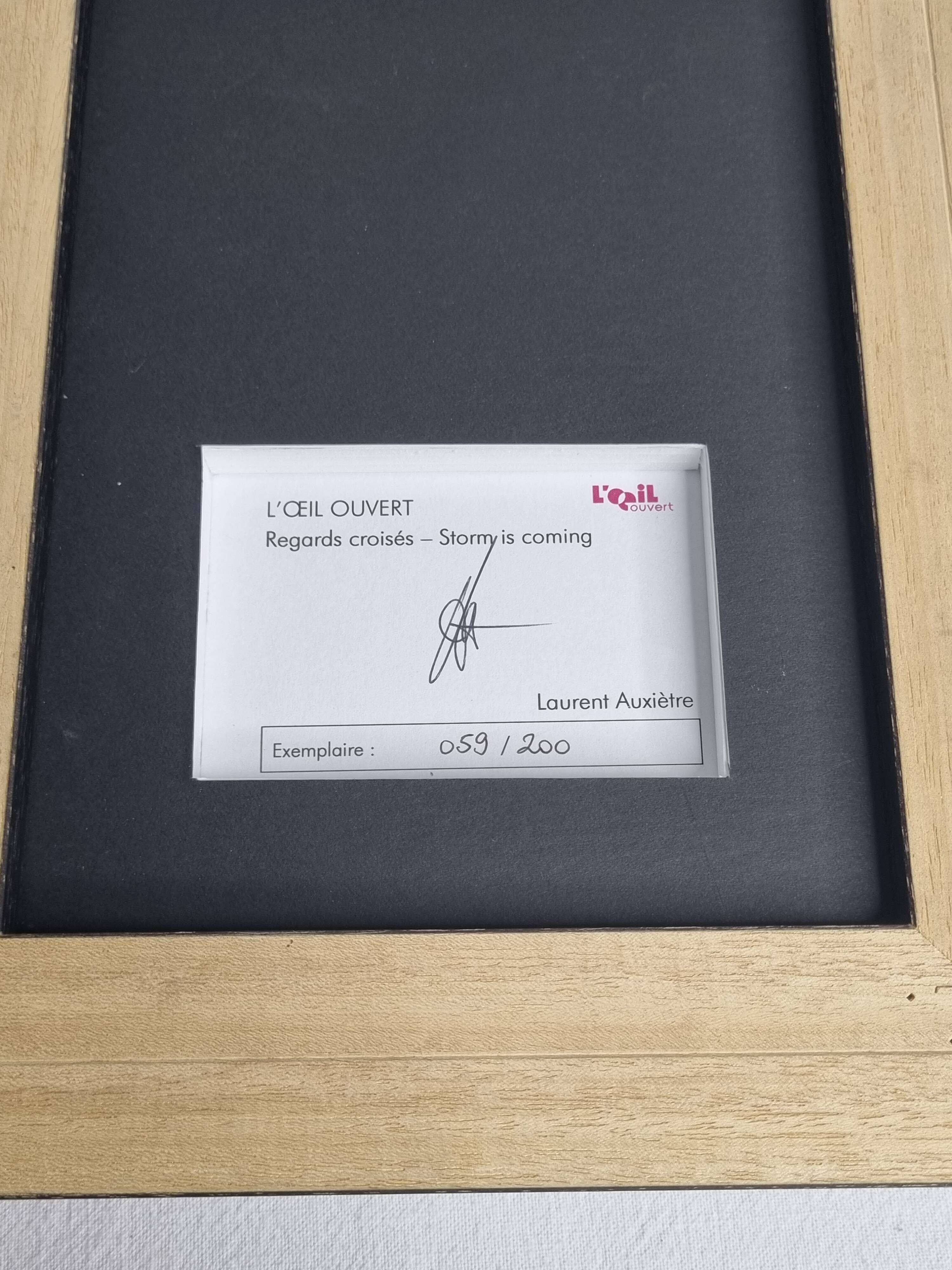 Storm is coming photograph by Laurent Auxiètre, limited edition