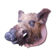 Hunting trophy boar for cabinet of curiosity's head