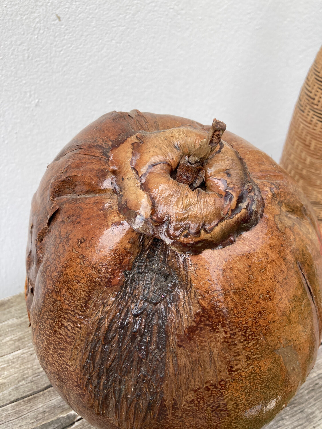 Exotic brutalist coconut ice bucket 1960