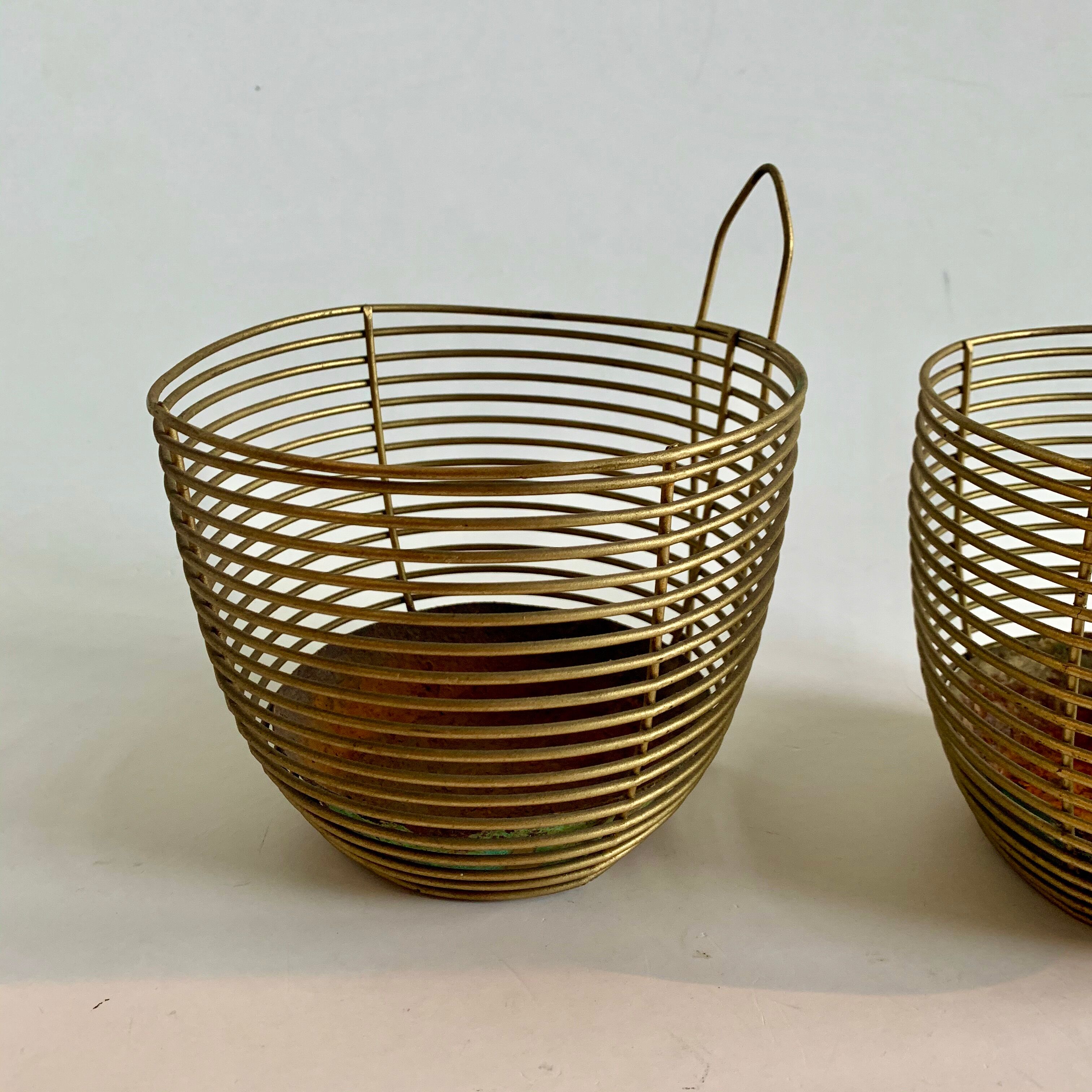 Mid century flower pots Flora, 1950s